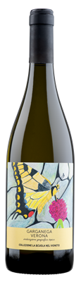 DOMINI VENETI GARGANEGA 19 75cl