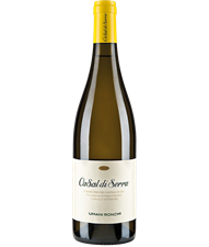 UMANI RONCHI CASALDISERRA VERDICCHIO 75cl